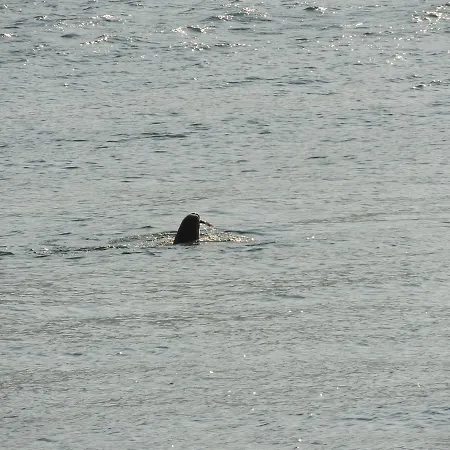 Stunning Tranquil With Private Pool Villa Sami (Kefalonia)